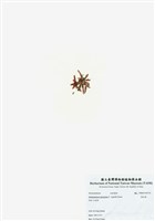 藏品(旋花藻)的圖片